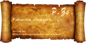 Pahocsa Zsanett névjegykártya